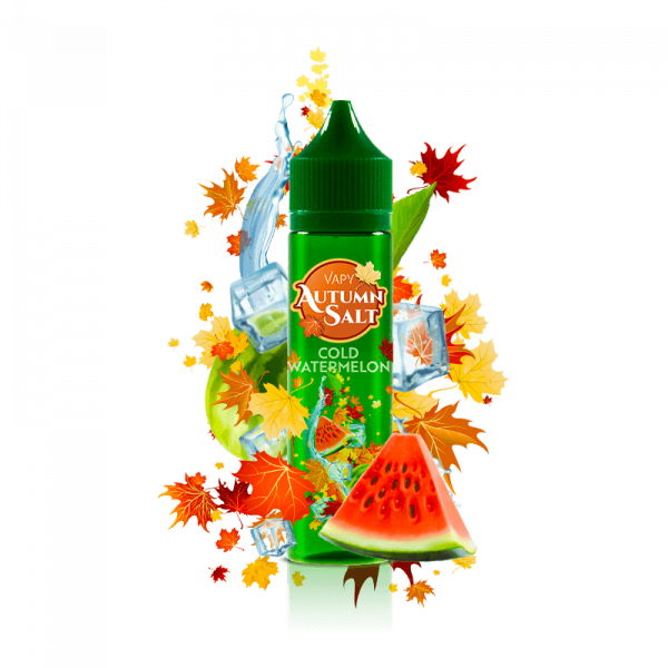 VAPY Autumn Time - Cold Watermelon Salt 55ml