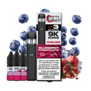 Frumist GoMax 9k Puffs - Blueberry Pomegranate